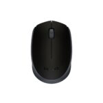 Logitech M171